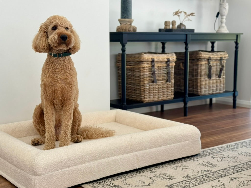 Boucle Pet Bed - PRE-ORDER