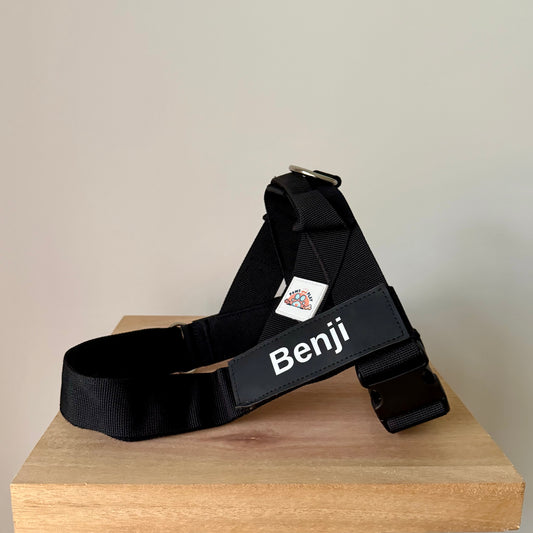 Harness, Lead & Collar Pack