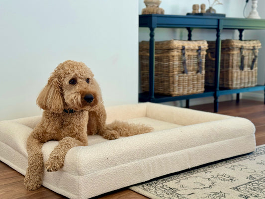 Boucle Pet Bed - PRE-ORDER